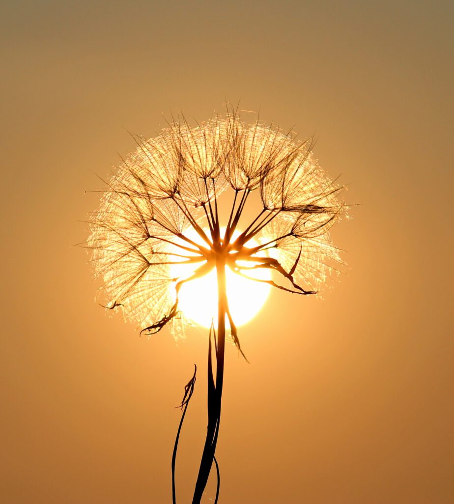 Sonne und Vitamin D gegen Stress und für mehr Gesundheit